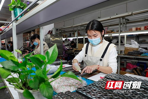 湖南新田 社區 微工廠 靈活促就業 組圖