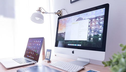 互聯網品牌營銷有哪些策略