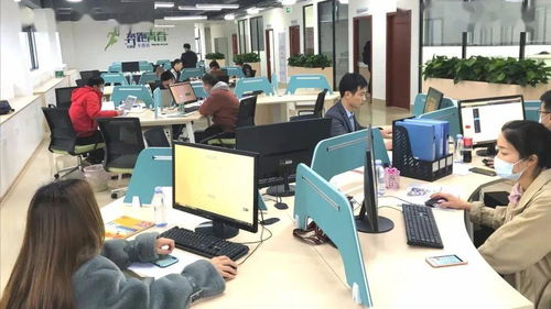 逆勢增長 我市一季度4項(xiàng)關(guān)鍵性指標(biāo)增幅居全省首位