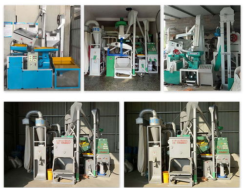 重慶15噸碾米機 吉安隆順廠 15噸碾米機批發(fā)
