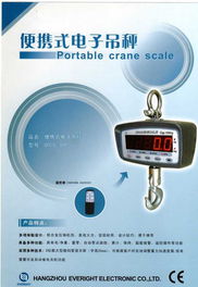 品牌電子吊秤廠家直銷，首選長春天誠精品便攜式電子吊秤—電腦